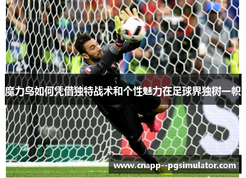 魔力鸟如何凭借独特战术和个性魅力在足球界独树一帜